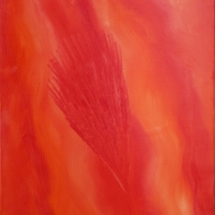 Πυροσπορά 70Χ100